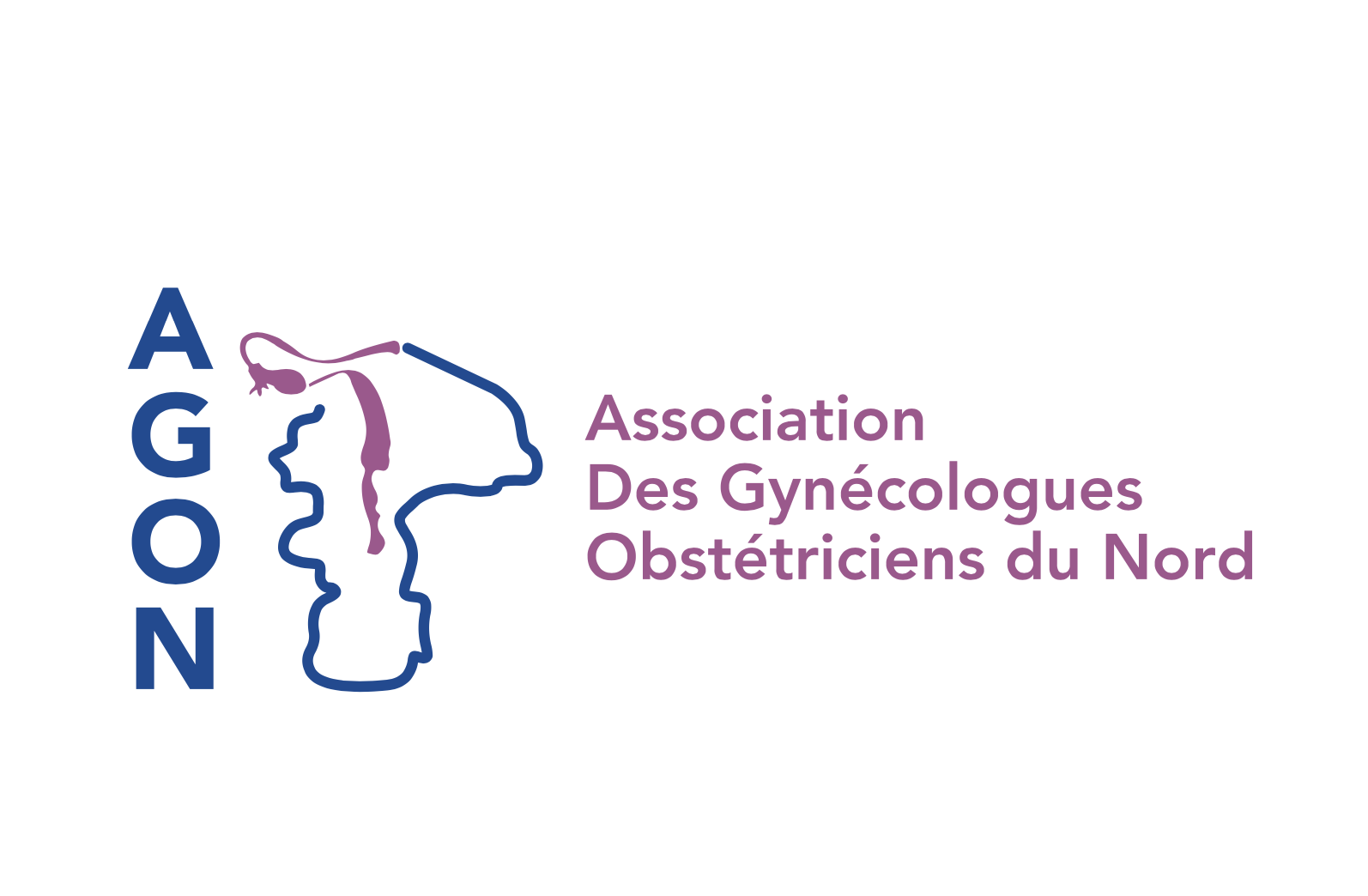 Journées Méditerranéennes de Gynécologie Obstétrique (AGON 2026) — photo 2